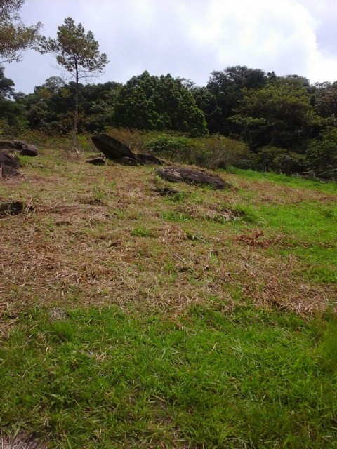 Fazenda à venda com 3 quartos, 2m² - Foto 12