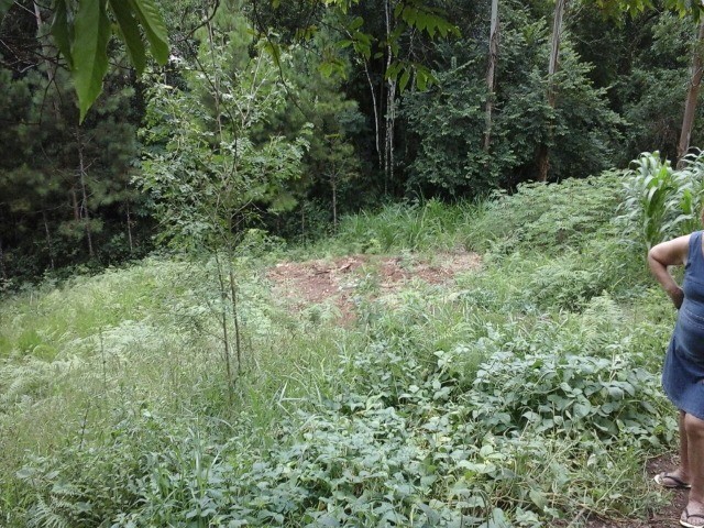 Fazenda à venda com 3 quartos, 2m² - Foto 17