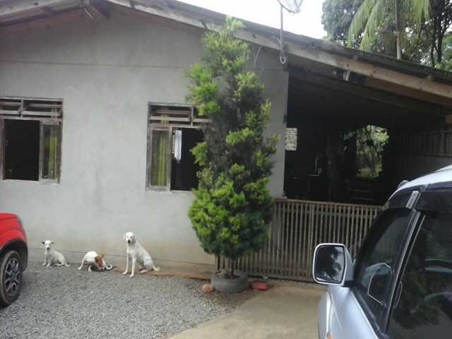 Fazenda à venda com 3 quartos, 2m² - Foto 26