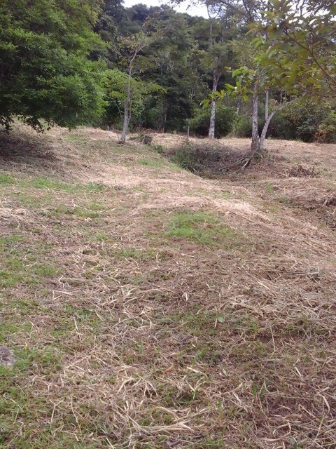 Fazenda à venda com 3 quartos, 2m² - Foto 35