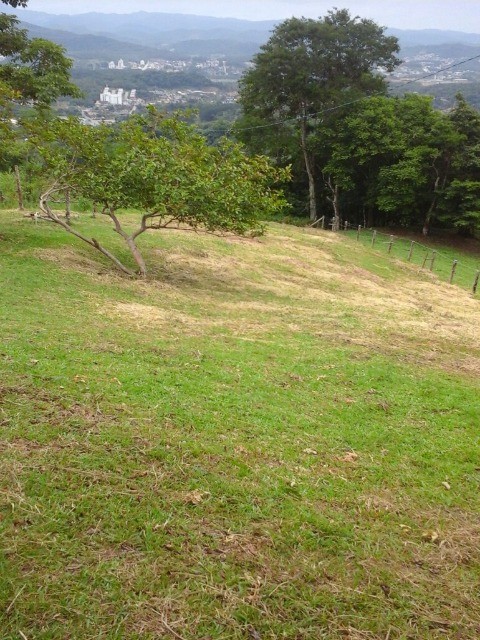 Fazenda à venda com 3 quartos, 2m² - Foto 38