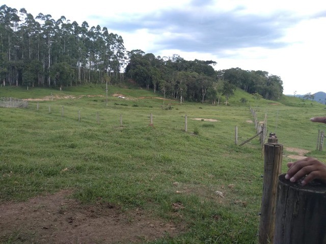 Fazenda à venda com 3 quartos, 22m² - Foto 4