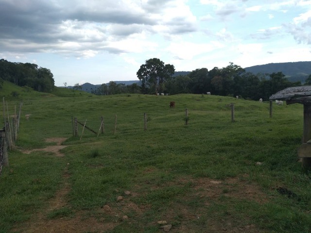 Fazenda à venda com 3 quartos, 22m² - Foto 5