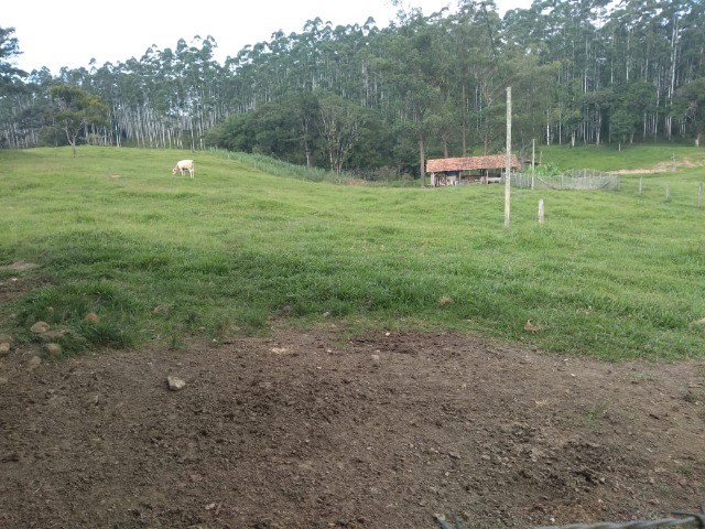 Fazenda à venda com 3 quartos, 22m² - Foto 6