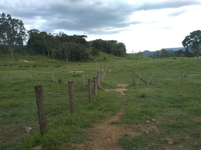 Fazenda à venda com 3 quartos, 22m² - Foto 7