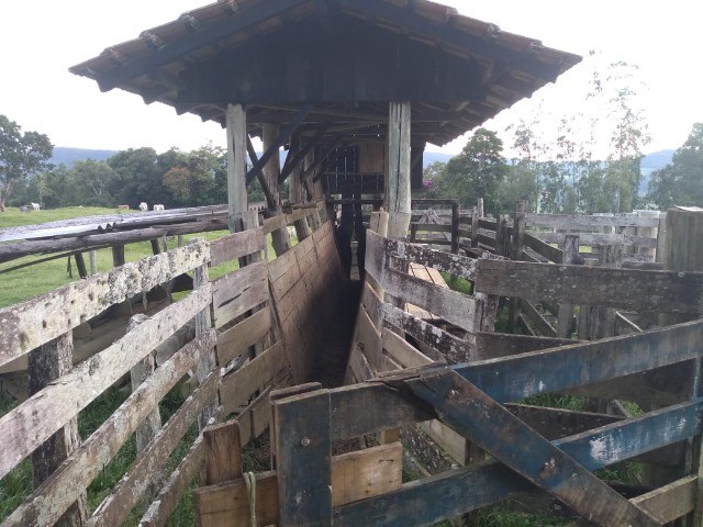 Fazenda à venda com 3 quartos, 22m² - Foto 10