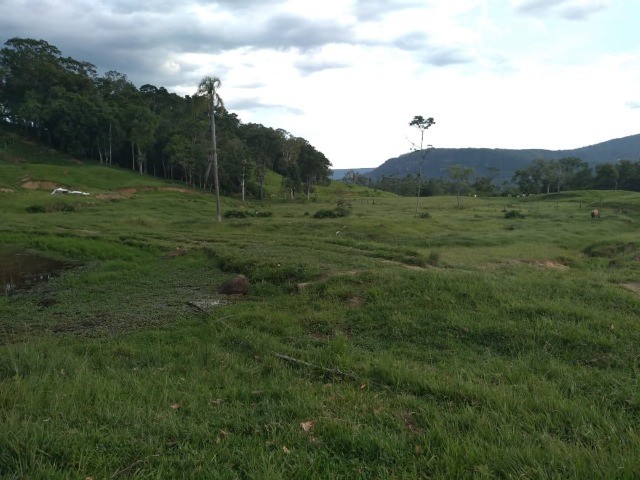 Fazenda à venda com 3 quartos, 22m² - Foto 13