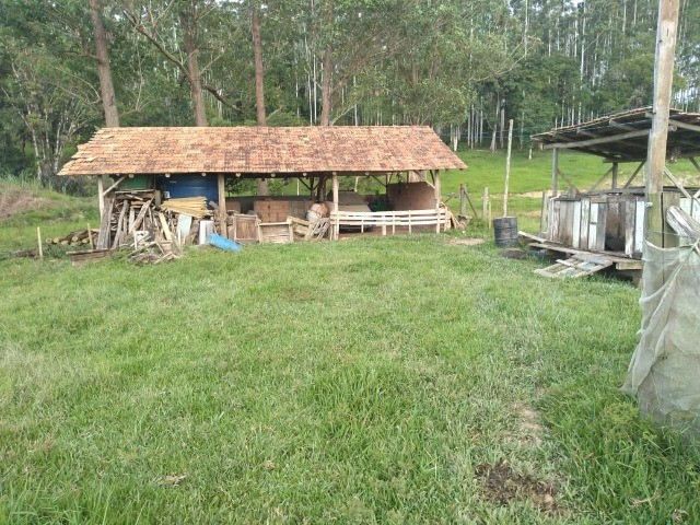 Fazenda à venda com 3 quartos, 22m² - Foto 17