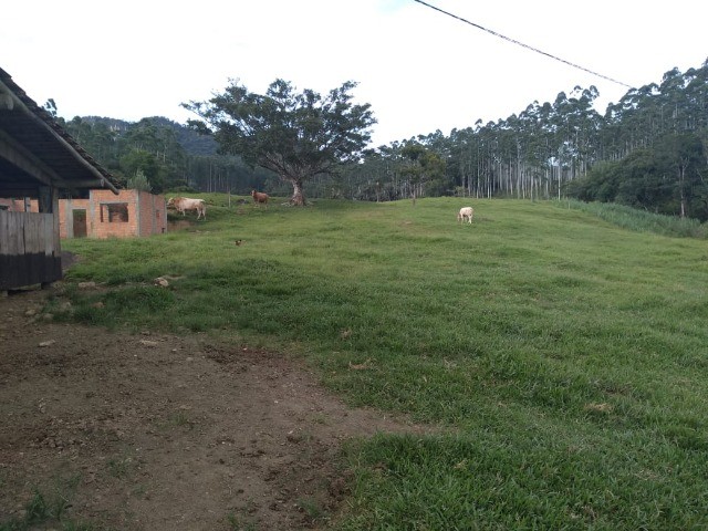 Fazenda à venda com 3 quartos, 22m² - Foto 18