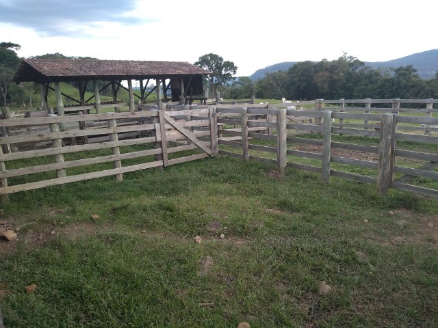 Fazenda à venda com 3 quartos, 22m² - Foto 19