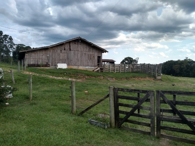 Fazenda à venda com 3 quartos, 22m² - Foto 24