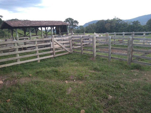 Fazenda à venda com 3 quartos, 22m² - Foto 25