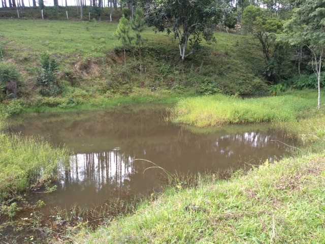 Chácara à venda com 1 quarto, 150m² - Foto 24