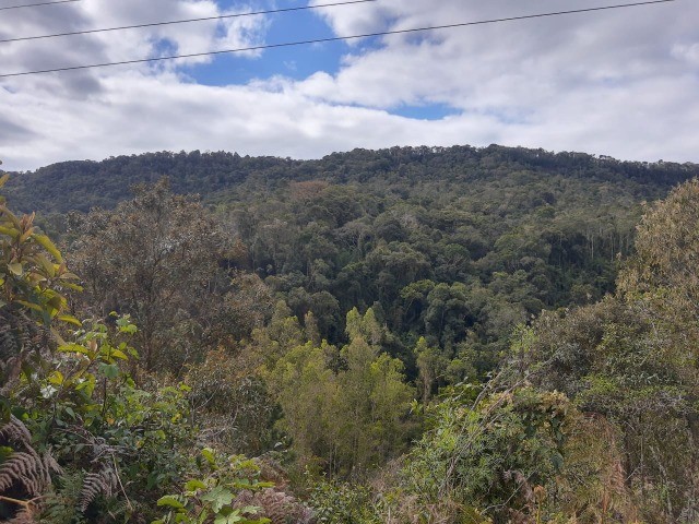 Fazenda à venda, 59m² - Foto 7