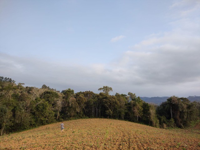 Fazenda à venda, 5m² - Foto 9