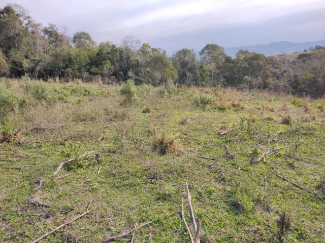 Fazenda à venda, 5m² - Foto 10