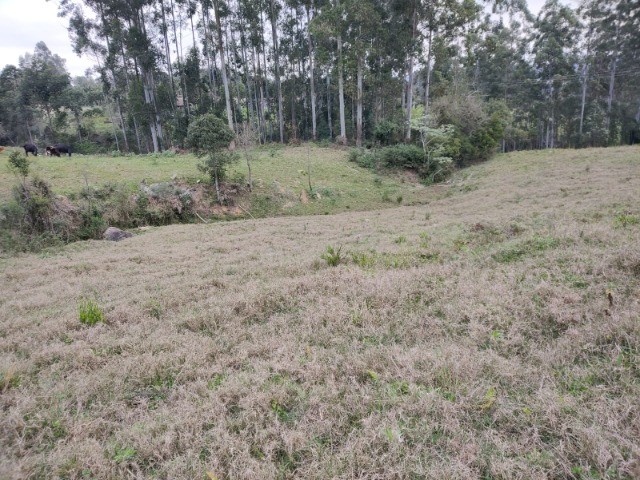 Fazenda à venda, 5m² - Foto 9