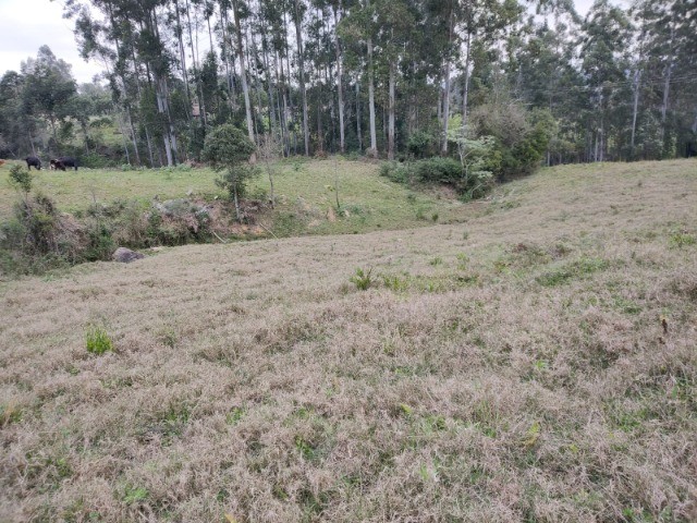 Fazenda à venda, 5m² - Foto 5