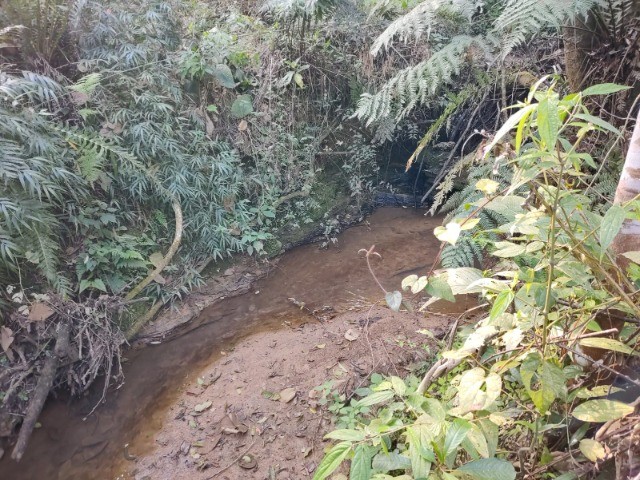 Fazenda à venda, 5m² - Foto 12