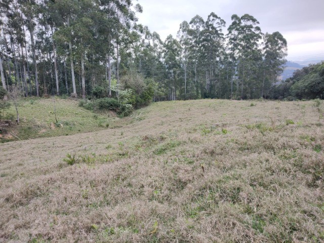 Fazenda à venda, 5m² - Foto 6