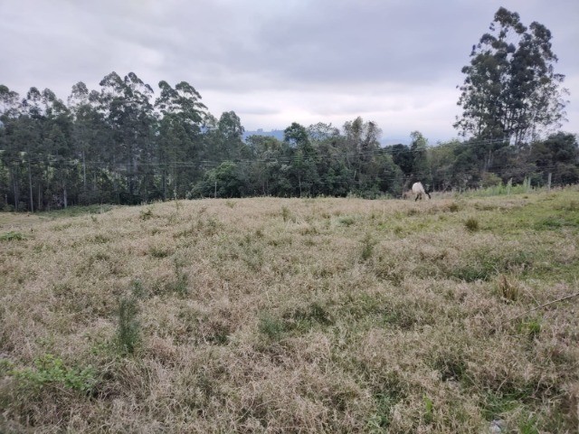 Fazenda à venda, 5m² - Foto 10