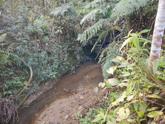 Fazenda à venda, 5m² - Foto 13