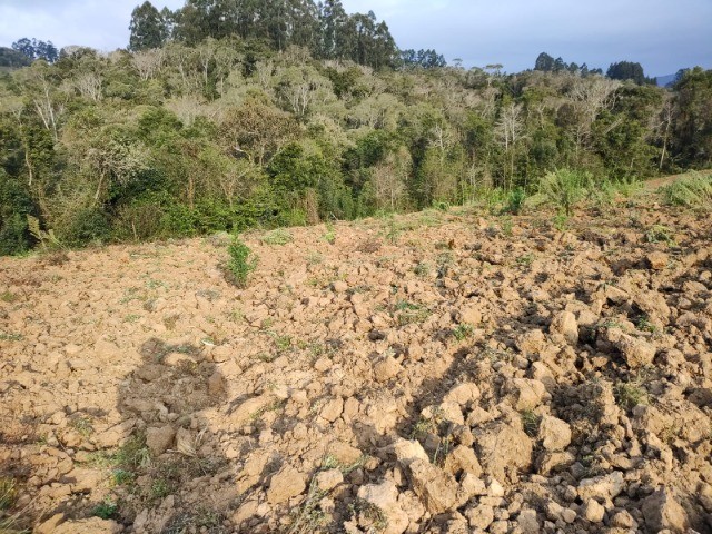 Fazenda à venda, 5m² - Foto 14