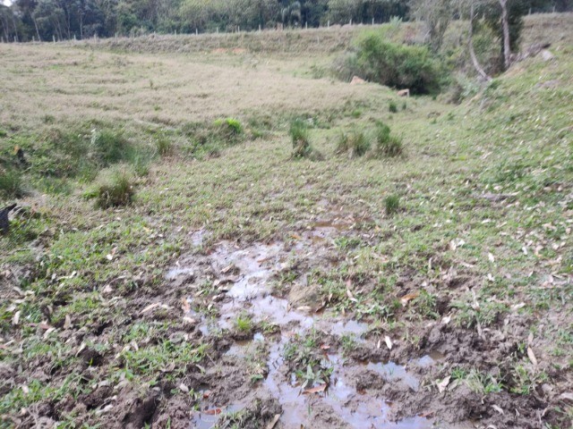 Fazenda à venda, 5m² - Foto 5