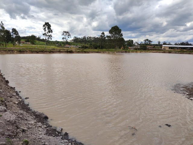 Chácara à venda com 6 quartos, 400m² - Foto 5