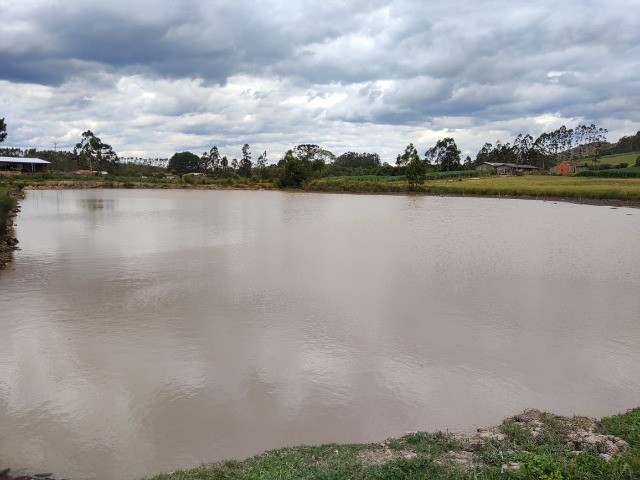 Chácara à venda com 6 quartos, 400m² - Foto 9