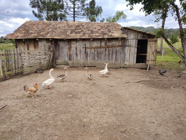 Chácara à venda com 6 quartos, 400m² - Foto 13