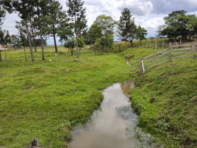 Chácara à venda com 6 quartos, 400m² - Foto 17