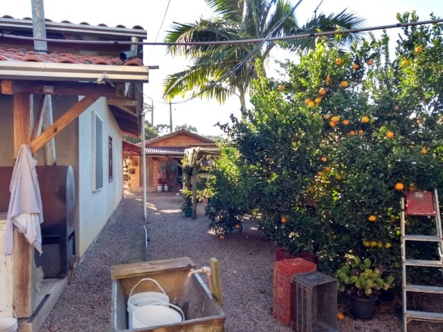 Fazenda à venda com 5 quartos, 276m² - Foto 13