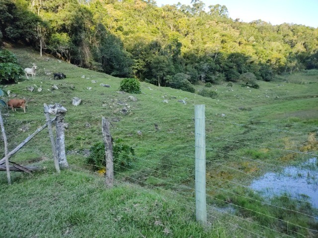 Fazenda à venda com 3 quartos, 14m² - Foto 8