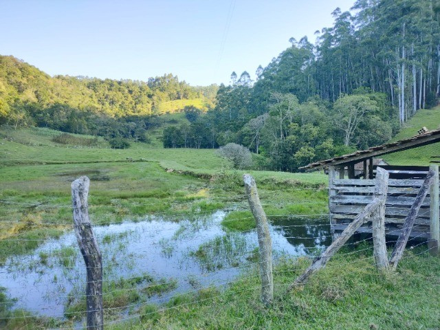 Fazenda à venda com 3 quartos, 14m² - Foto 11