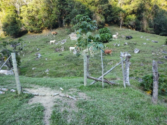 Fazenda à venda com 3 quartos, 14m² - Foto 7