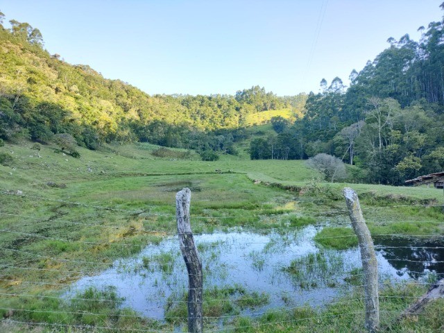 Fazenda à venda com 3 quartos, 14m² - Foto 10