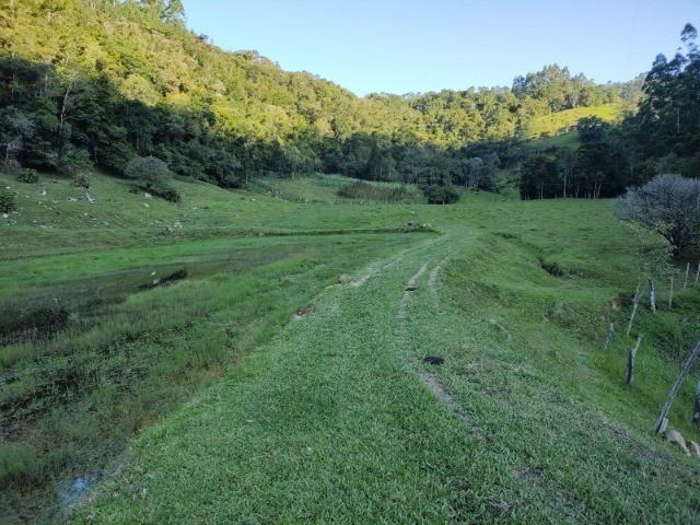 Fazenda à venda com 3 quartos, 14m² - Foto 5