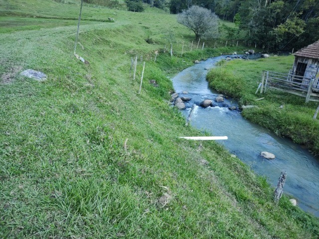 Fazenda à venda com 3 quartos, 14m² - Foto 4