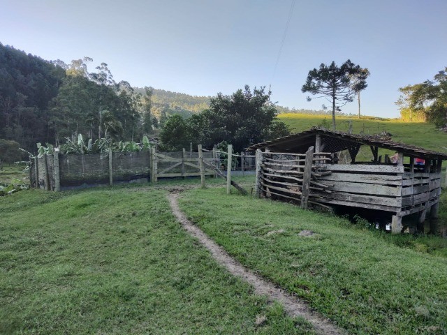 Fazenda à venda com 3 quartos, 14m² - Foto 2