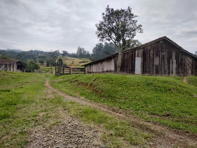 Chácara à venda com 3 quartos, 20000m² - Foto 24