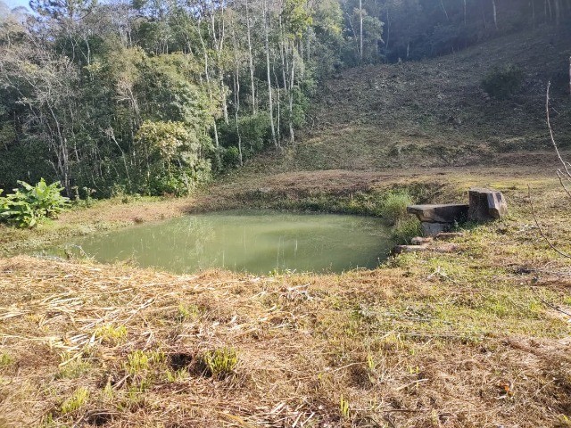 Fazenda à venda, 3m² - Foto 3