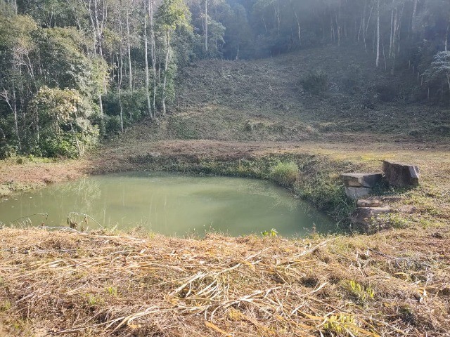 Fazenda à venda, 3m² - Foto 2