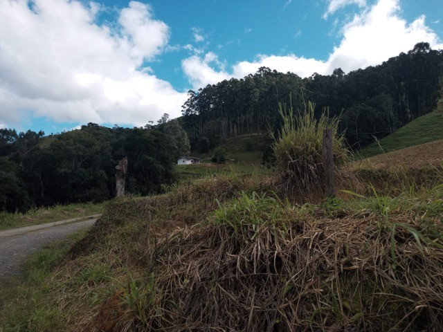 Fazenda à venda com 3 quartos, 45m² - Foto 9