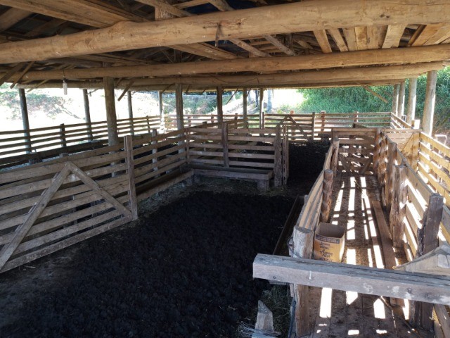 Fazenda à venda com 3 quartos, 45m² - Foto 5