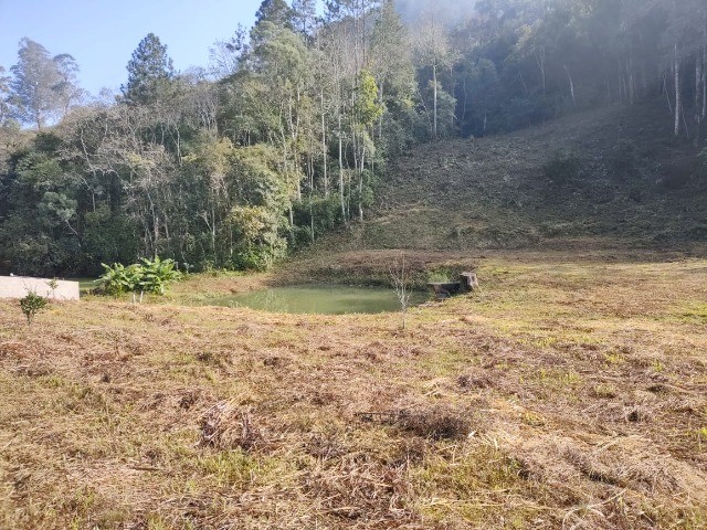 Fazenda à venda, 3m² - Foto 5