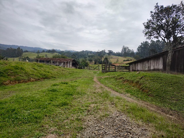 Chácara à venda com 3 quartos, 20000m² - Foto 25