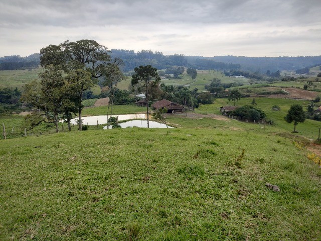 Chácara à venda com 3 quartos, 20000m² - Foto 28