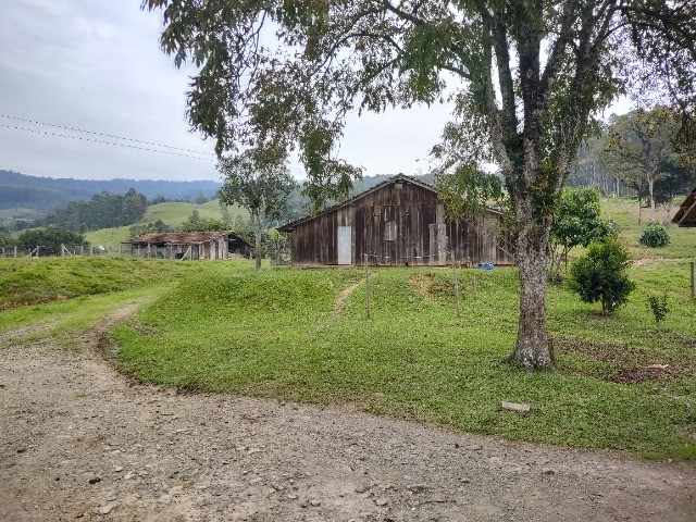 Chácara à venda com 3 quartos, 20000m² - Foto 22