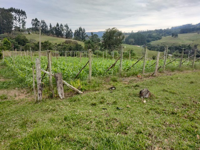 Chácara à venda com 3 quartos, 20000m² - Foto 27